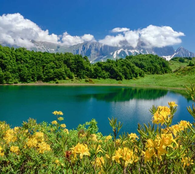 Bergsee mit gelben Blumen